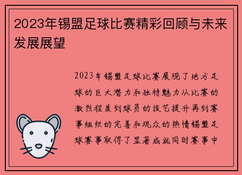 2023年锡盟足球比赛精彩回顾与未来发展展望