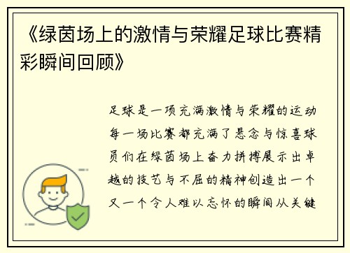 《绿茵场上的激情与荣耀足球比赛精彩瞬间回顾》