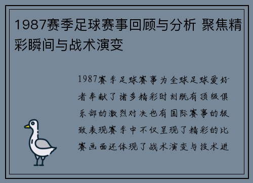 1987赛季足球赛事回顾与分析 聚焦精彩瞬间与战术演变