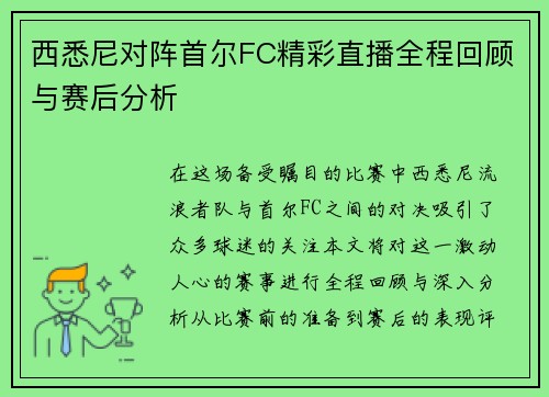 西悉尼对阵首尔FC精彩直播全程回顾与赛后分析