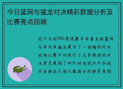 今日篮网与猛龙对决精彩数据分析及比赛亮点回顾