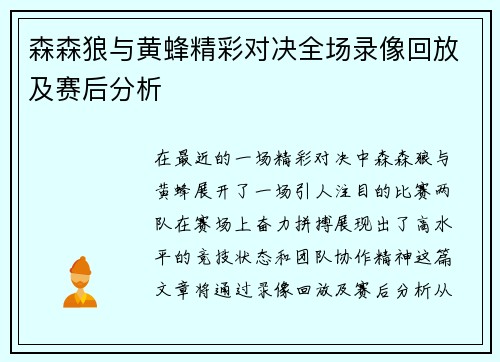 森森狼与黄蜂精彩对决全场录像回放及赛后分析