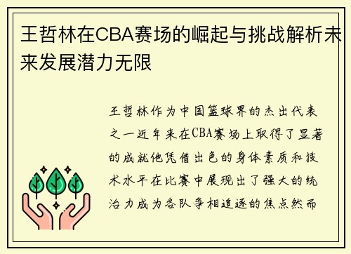 王哲林在CBA赛场的崛起与挑战解析未来发展潜力无限
